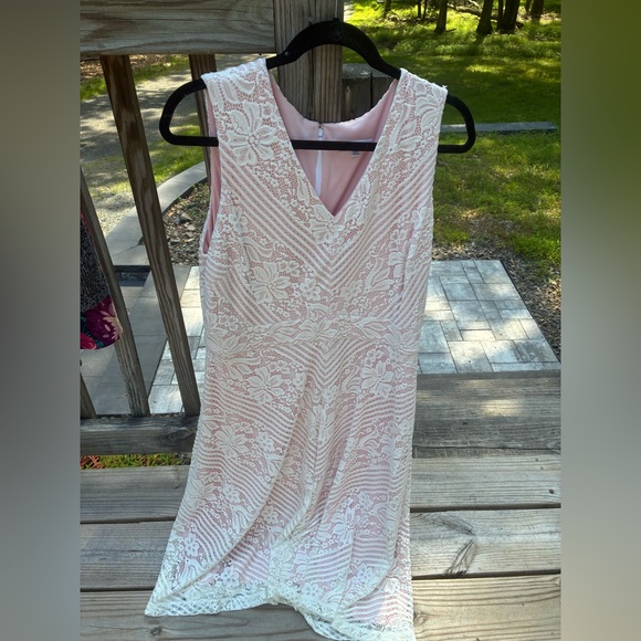 Elegant Lace Sleeveless Dress - Pink and Cream - Picture 1 of 2